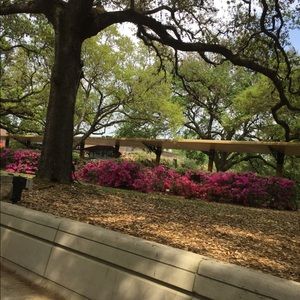 Meet your Posher, Gaby